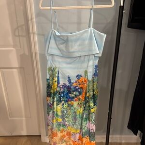 Anthropologie Floral Midi Dress - Blue and Multicolor